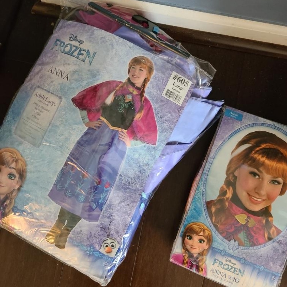 Adult Anna Costume